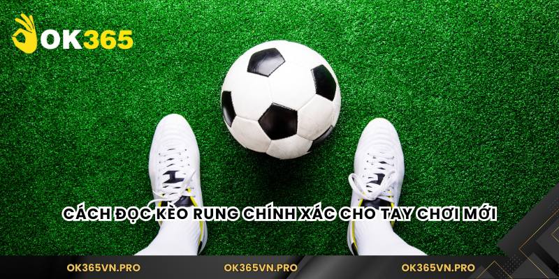 Cách đọc kèo rung chính xác cho tay chơi mới