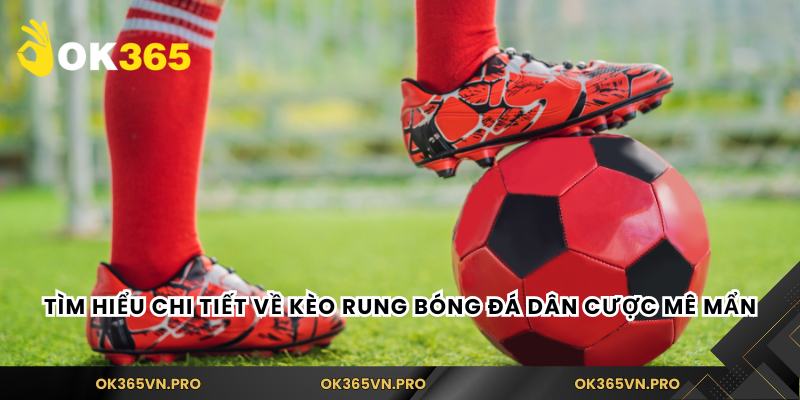 Tìm hiểu chi tiết về kèo rung bóng đá dân cược mê mẩn