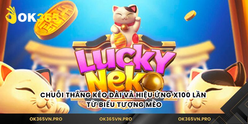 Chuỗi thắng kéo dài và hiệu ứng x100 lần từ biểu tượng mèo