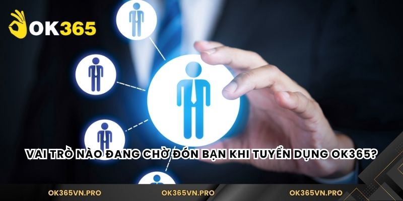 Vai trò nào đang chờ đón bạn khi tuyển dụng Ok365?